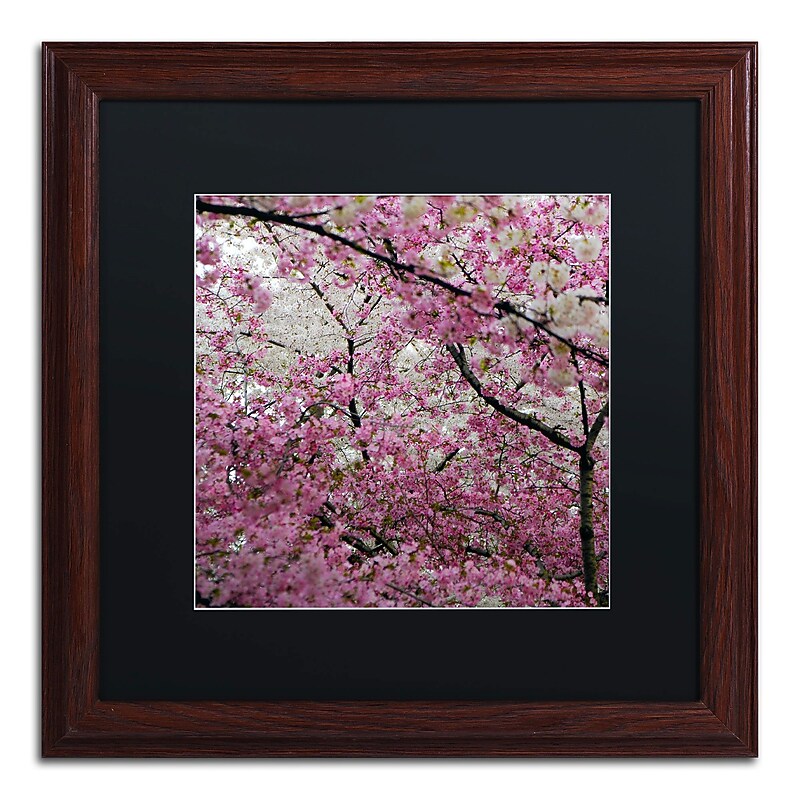 Trademark CATeyes "Cherry Blossoms 2014-3" Art, Black Matte W/Wood Frame, 16" x 16" image 1