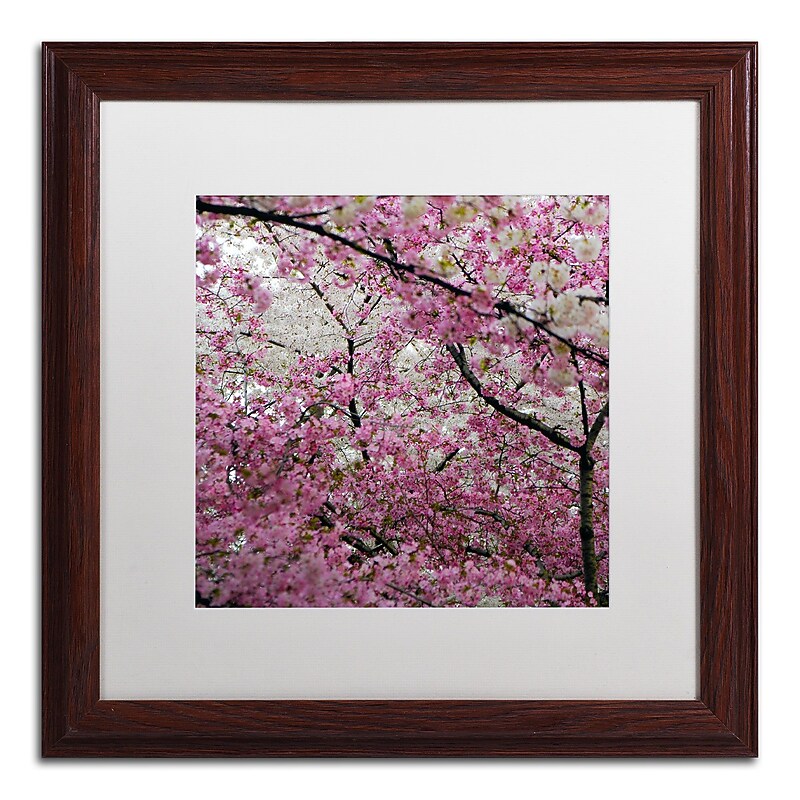 Trademark CATeyes "Cherry Blossoms 2014-3" Art, White Matte W/Wood Frame, 16" x 16" image 1