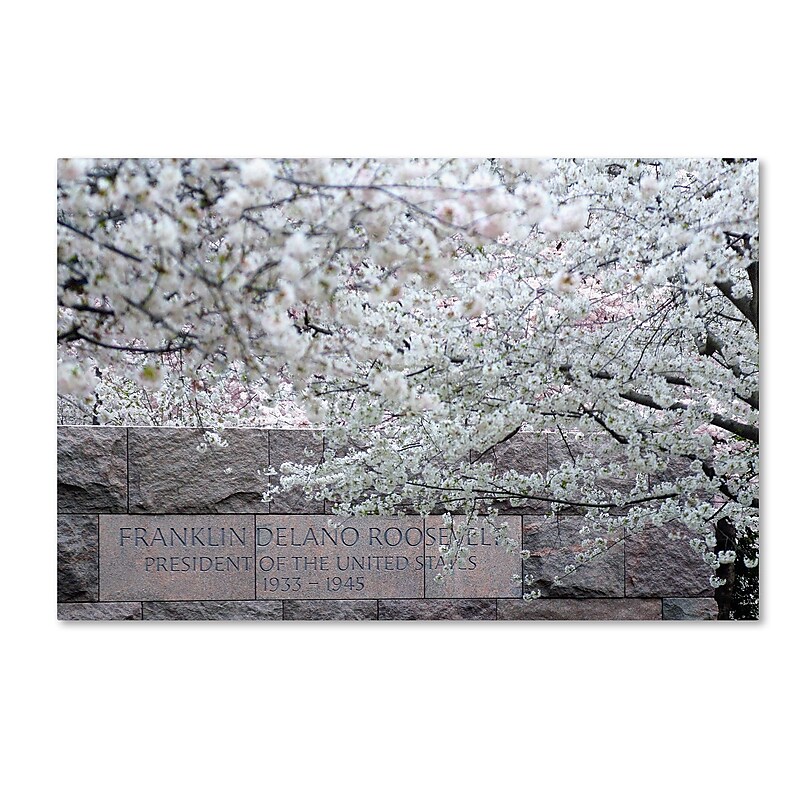 Trademark CATeyes "Cherry Blossoms 2014-4" Gallery-Wrapped Canvas Art, 22" x 32" image 1