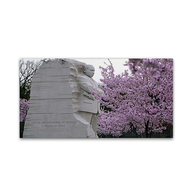 Trademark CATeyes "Cherry Blossoms 2014-5" Gallery-Wrapped Canvas Art, 24" x 47" image 1