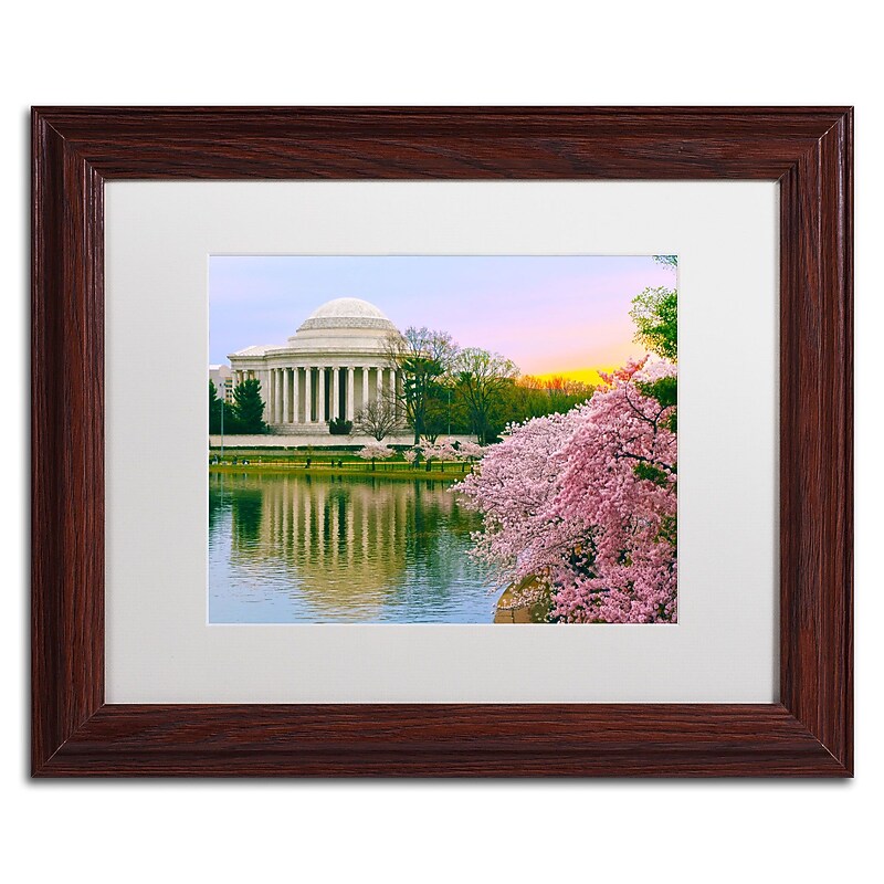 Trademark CATeyes "Cherry Blossoms 2014-6" Art, White Matte W/Wood Frame, 11" x 14" image 1