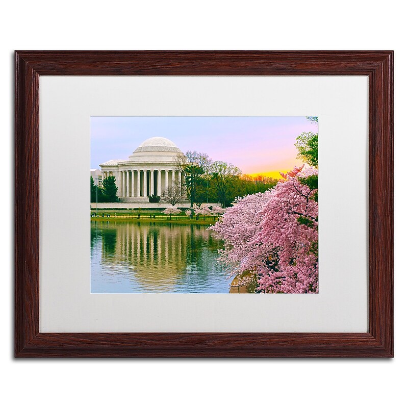 Trademark CATeyes "Cherry Blossoms 2014-6" Art, White Matte W/Wood Frame, 16" x 20" image 1