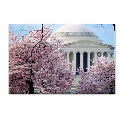Trademark CATeyes "Cherry Blossoms 2014-7" Gallery-Wrapped Canvas Art, 12" x 19"