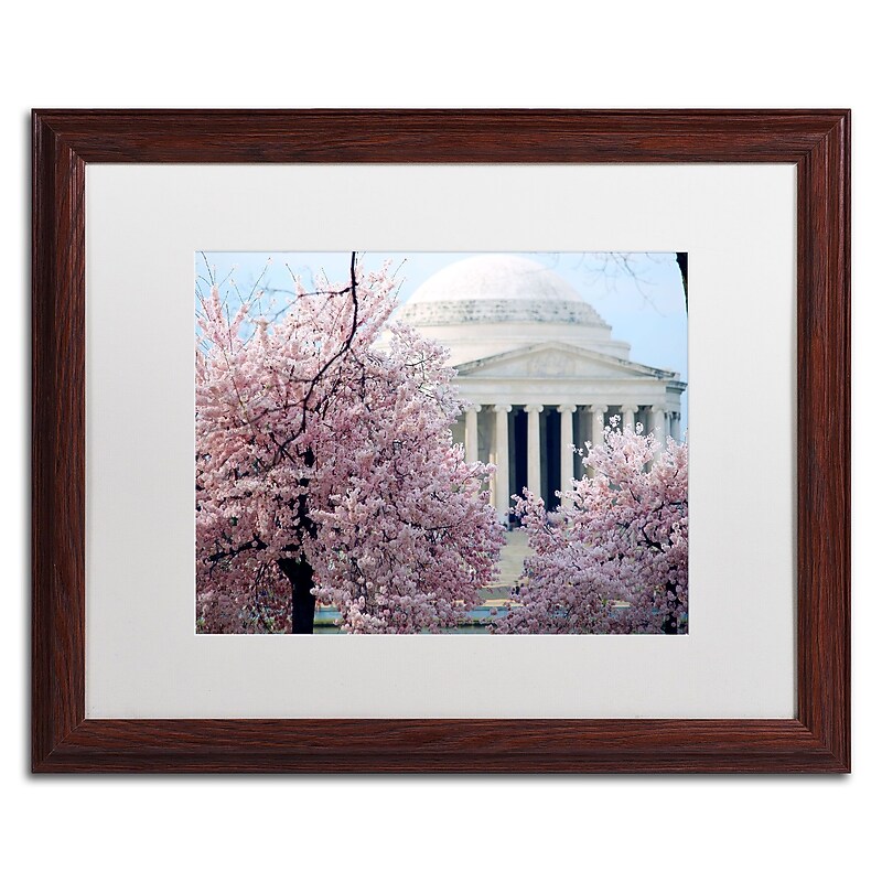 Trademark CATeyes "Cherry Blossoms 2014-7" Art, White Matte W/Wood Frame, 16" x 20" image 1