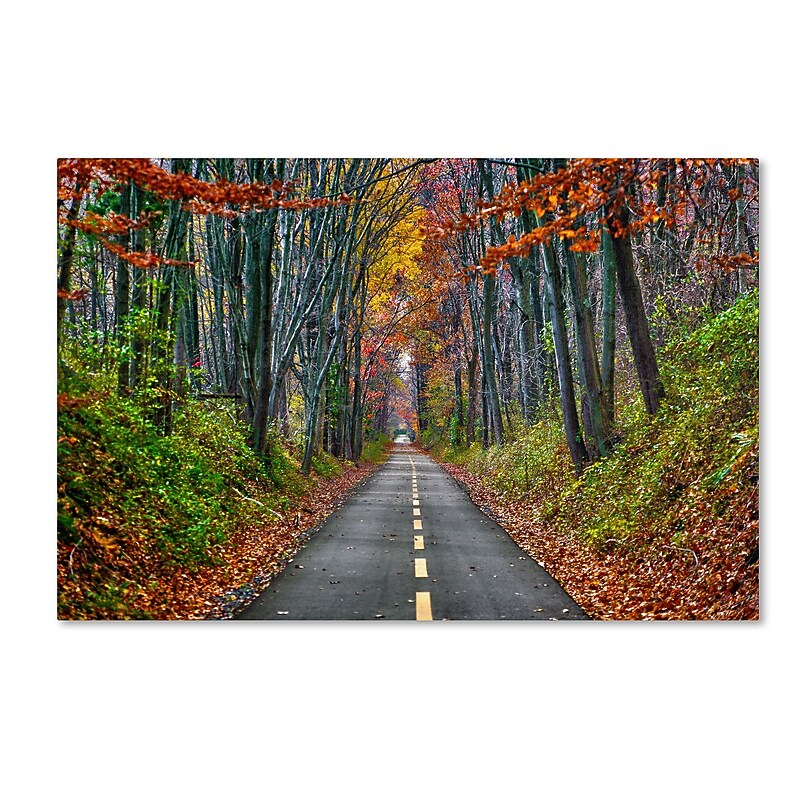 Trademark CATeyes "Paths" Gallery-Wrapped Canvas Art, 30" x 47" image 1