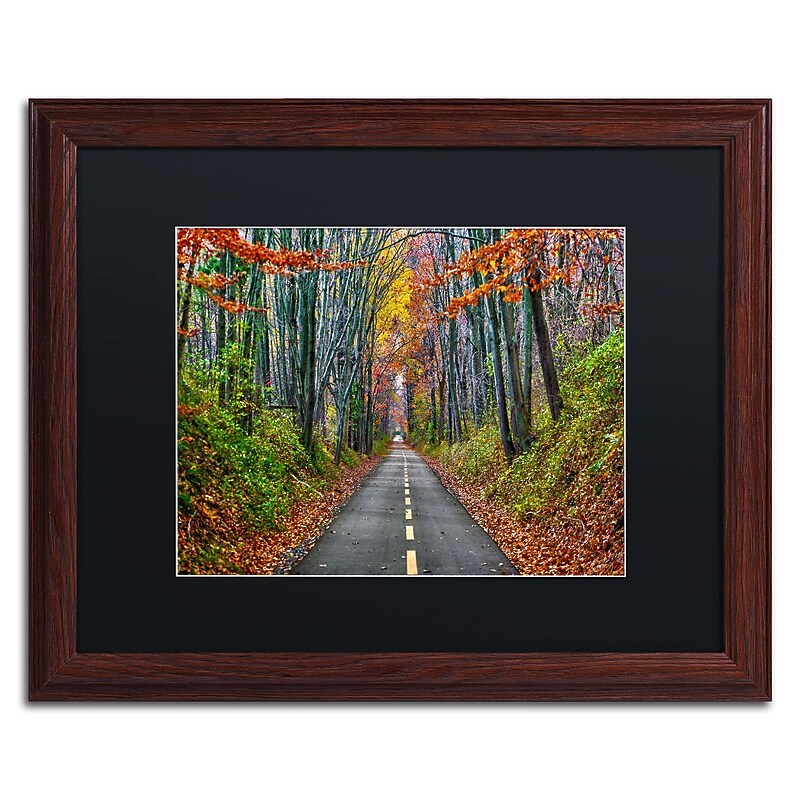 Trademark CATeyes "Paths" Art, Black Matte W/Wood Frame, 16" x 20" image 1