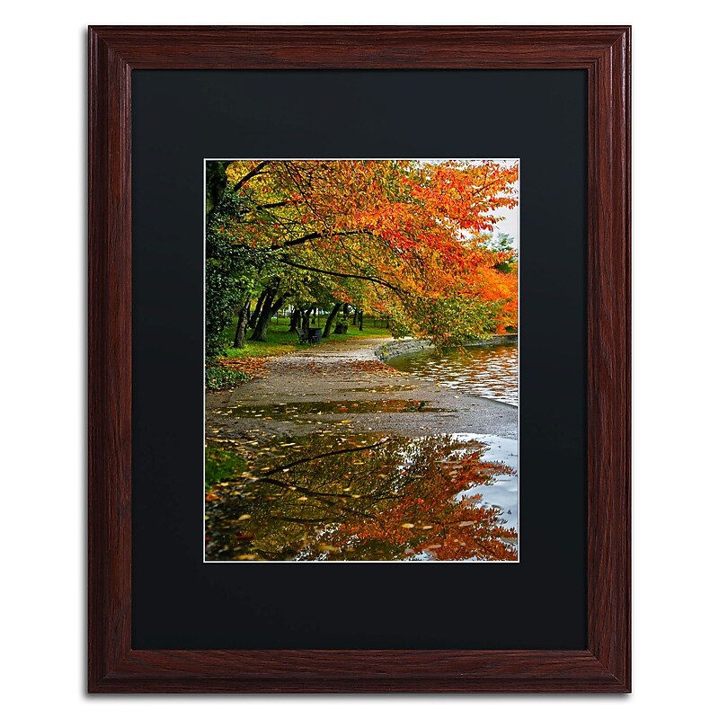 Trademark CATeyes "Tidal Basin Autumn 1" Art, Black Matte W/Wood Frame, 16" x 20" image 1