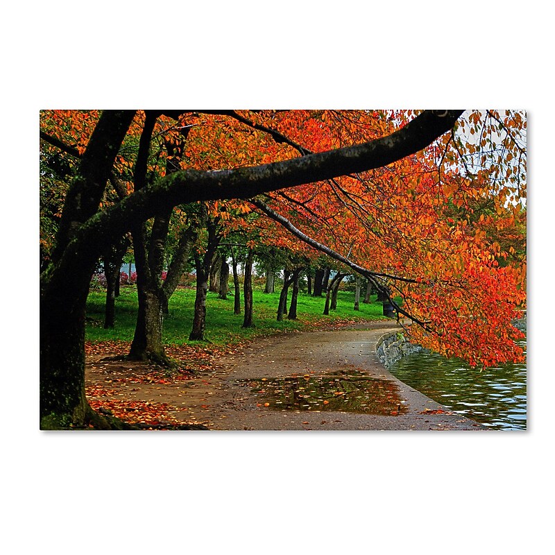 Trademark CATeyes "Tidal Basin Autumn 2" Gallery-Wrapped Canvas Art, 30" x 47" image 1