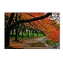 Trademark CATeyes "Tidal Basin Autumn 2" Gallery-Wrapped Canvas Art, 30" x 47"~#|#~m001702887_sc7