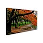 Trademark CATeyes "Tidal Basin Autumn 2" Gallery-Wrapped Canvas Art, 30" x 47"~#|#~m001702888_sc7
