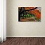 Trademark CATeyes "Tidal Basin Autumn 2" Gallery-Wrapped Canvas Art, 30" x 47"~#|#~m001702889_sc7