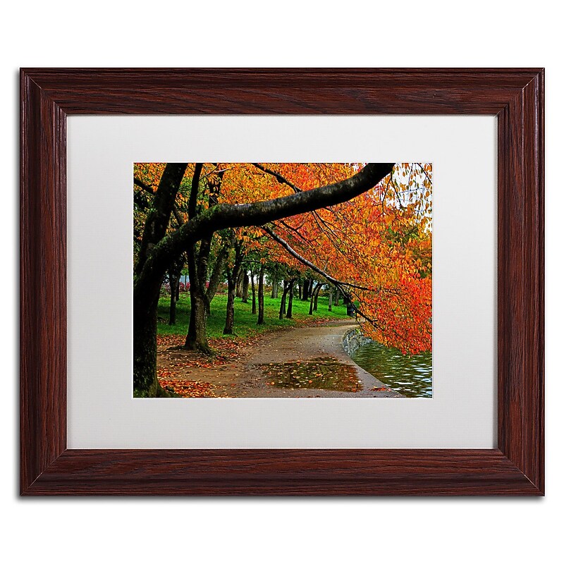 Trademark CATeyes "Tidal Basin Autumn 2" Art, White Matte W/Wood Frame, 11" x 14" image 1