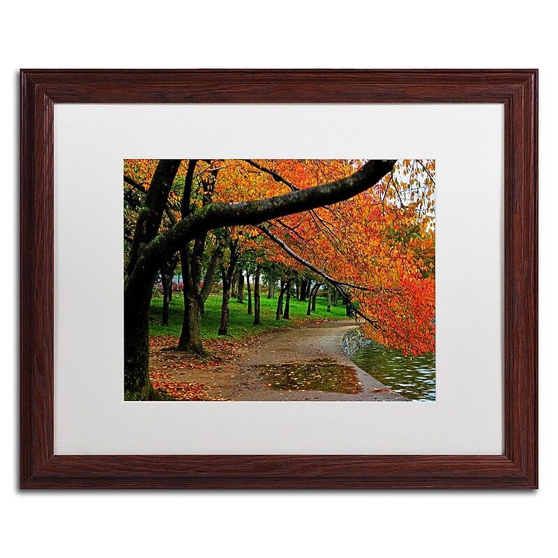 Trademark CATeyes "Tidal Basin Autumn 2" Art, White Matte W/Wood Frame, 16" x 20" image 1
