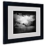 Trademark Philippe Sainte-Laudy "Black Beauty" Art, White Matte With Black Frame, 11" x 14"~#|#~m001703092_sc7