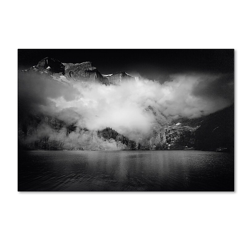 Trademark Philippe Sainte-Laudy "Black Beauty Switzerland" Gallery-Wrapped Canvas Art, 30" x 47" image 1