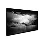 Trademark Philippe Sainte-Laudy "Black Beauty Switzerland" Gallery-Wrapped Canvas Art, 30" x 47"~#|#~m001703098_sc7
