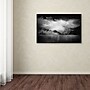 Trademark Philippe Sainte-Laudy "Black Beauty Switzerland" Gallery-Wrapped Canvas Art, 30" x 47"~#|#~m001703099_sc7