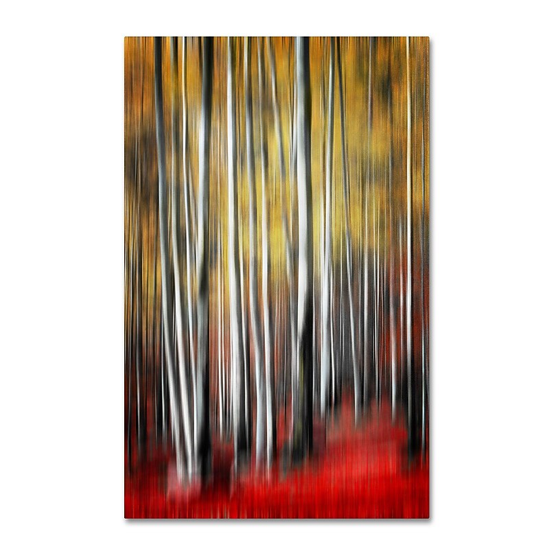 Trademark Philippe Sainte-Laudy "Osmosis" Gallery-Wrapped Canvas Art, 12" x 19" image 1