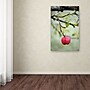 Trademark Philippe Sainte-Laudy "Adam" Gallery-Wrapped Canvas Art, 12" x 19"~#|#~m001703125_sc7