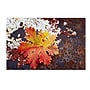 Trademark Philippe Sainte-Laudy "Autumn Rust" Gallery-Wrapped Canvas Art, 30" x 47"~#|#~m001703136_sc7