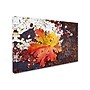 Trademark Philippe Sainte-Laudy "Autumn Rust" Gallery-Wrapped Canvas Art, 30" x 47"~#|#~m001703137_sc7