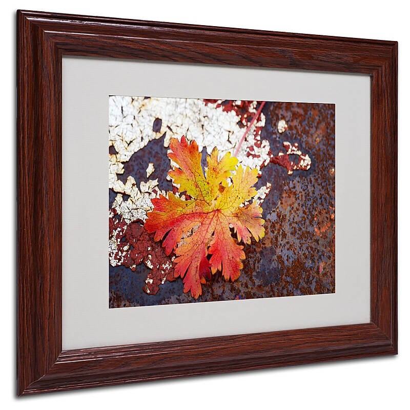 Trademark Philippe Sainte-Laudy "Autumn Rust" Art, White Matte With Wood Frame, 11" x 14" image 1