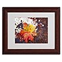 Trademark Philippe Sainte-Laudy "Autumn Rust" Art, White Matte With Wood Frame, 11" x 14"~#|#~m001703140_sc7