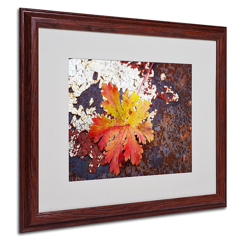 Trademark Philippe Sainte-Laudy "Autumn Rust" Art, White Matte With Wood Frame, 16" x 20" image 1