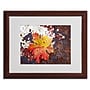 Trademark Philippe Sainte-Laudy "Autumn Rust" Art, White Matte With Wood Frame, 16" x 20"~#|#~m001703143_sc7