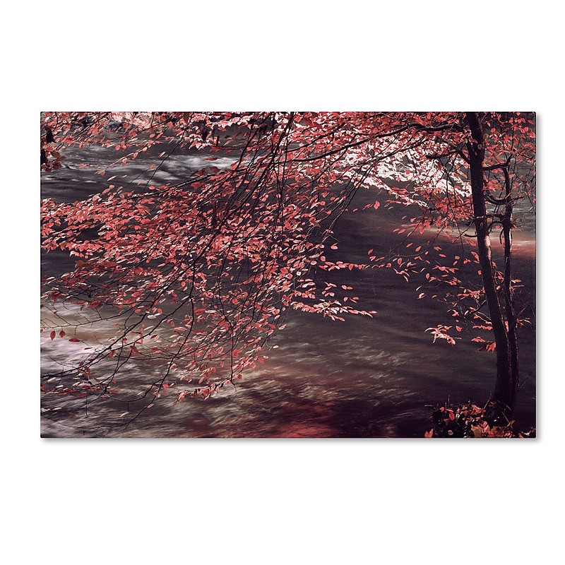 Trademark Philippe Sainte-Laudy "Autumn Serenade" Gallery-Wrapped Canvas Art, 16" x 24" image 1