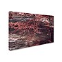 Trademark Philippe Sainte-Laudy "Autumn Serenade" Gallery-Wrapped Canvas Art, 30" x 47"~#|#~m001703150_sc7