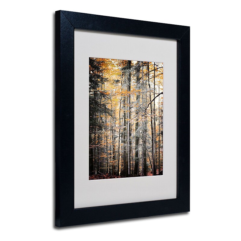 Trademark Philippe Sainte-Laudy "Autumn Tones" Art, White Matte With Black Frame, 11" x 14" image 1