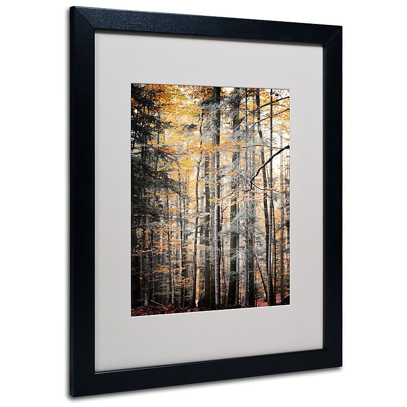 Trademark Philippe Sainte-Laudy "Autumn Tones" Art, White Matte With Black Frame, 16" x 20" image 1