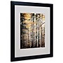 Trademark Philippe Sainte-Laudy "Autumn Tones" Art, White Matte With Black Frame, 16" x 20"~#|#~m001703160_sc7