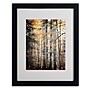 Trademark Philippe Sainte-Laudy "Autumn Tones" Art, White Matte With Black Frame, 16" x 20"~#|#~m001703161_sc7