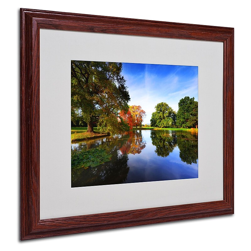 Trademark Philippe Sainte-Laudy "Autumnal Beauty" Art, White Matte With Wood Frame, 16" x 20" image 1