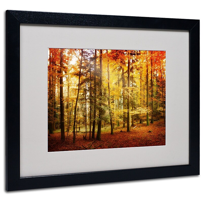 Trademark Philippe Sainte-Laudy "Fall Color" Art, White Matte With Black Frame, 16" x 20" image 1
