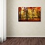 Trademark Philippe Sainte-Laudy "Brilliant Fall Color" Gallery-Wrapped Canvas Art, 12" x 19"~#|#~m001703190_sc7