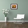 Trademark Philippe Sainte-Laudy "Fall Color" Art, White Matte With Wood Frame, 16" x 20"~#|#~m001703193_sc7