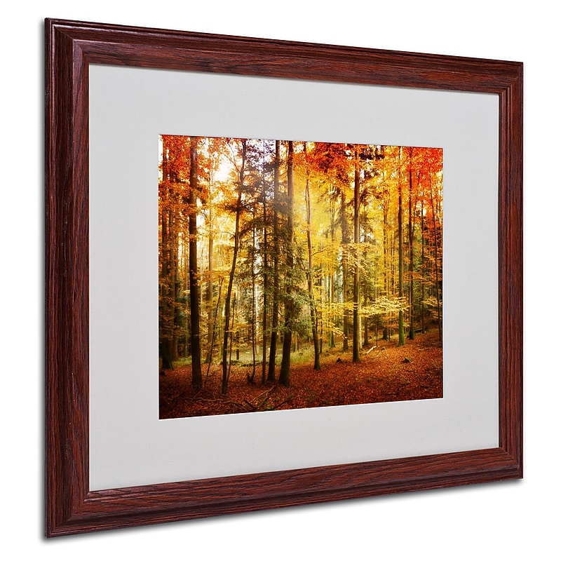Trademark Philippe Sainte-Laudy "Fall Color" Art, White Matte With Wood Frame, 16" x 20" image 1
