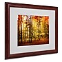 Trademark Philippe Sainte-Laudy "Fall Color" Art, White Matte With Wood Frame, 16" x 20"~#|#~m001703194_sc7