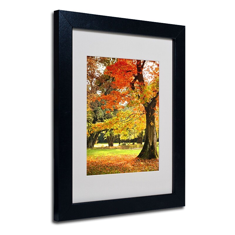 Trademark Philippe Sainte-Laudy "Dance of Colors" Art, White Matte With Black Frame, 11" x 14" image 1