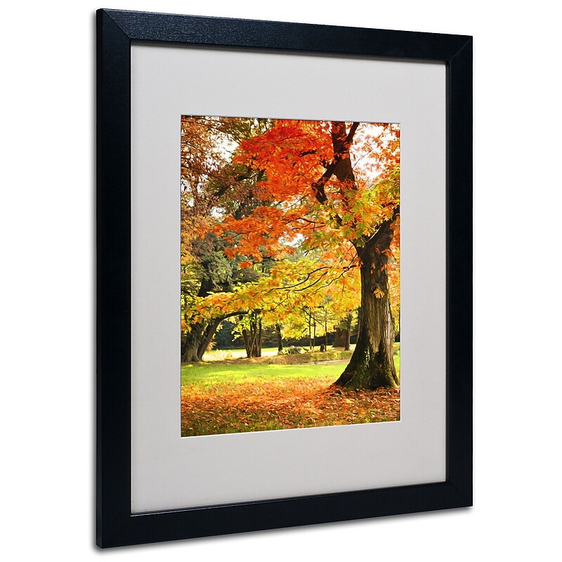 Trademark Philippe Sainte-Laudy "Dance of Colors" Art, White Matte With Black Frame, 16" x 20" image 1