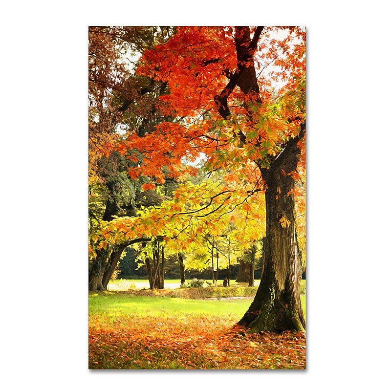 Trademark Philippe Sainte-Laudy "Dance of Colors" Gallery-Wrapped Canvas Art, 22" x 32" image 1