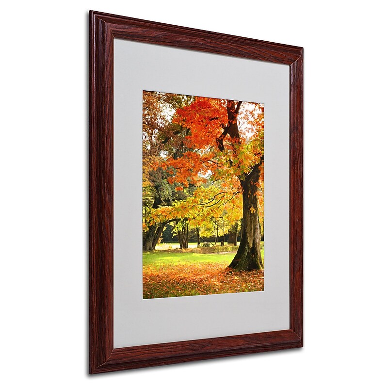 Trademark Philippe Sainte-Laudy "Dance of Colors" Art, White Matte With Wood Frame, 16" x 20" image 1