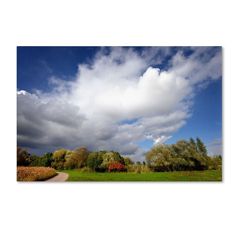 Trademark Philippe Sainte-Laudy "Dust in the Wind" Gallery-Wrapped Canvas Art, 30" x 47" image 1