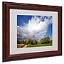 Trademark Philippe Sainte-Laudy "Dust in the Wind" Art, White Matte With Wood Frame, 11" x 14"~#|#~m001703217_sc7