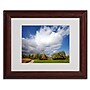 Trademark Philippe Sainte-Laudy "Dust in the Wind" Art, White Matte With Wood Frame, 11" x 14"~#|#~m001703218_sc7