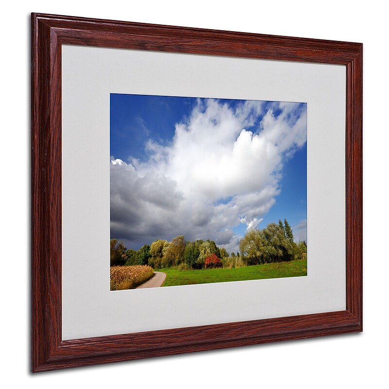 Trademark Philippe Sainte-Laudy "Dust in the Wind" Art, White Matte With Wood Frame, 16" x 20" image 1