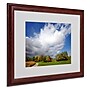 Trademark Philippe Sainte-Laudy "Dust in the Wind" Art, White Matte With Wood Frame, 16" x 20"~#|#~m001703220_sc7
